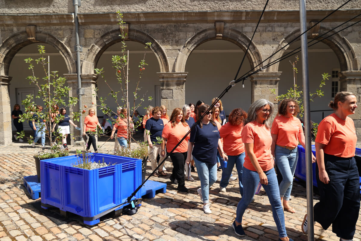 Music in the Courtyard