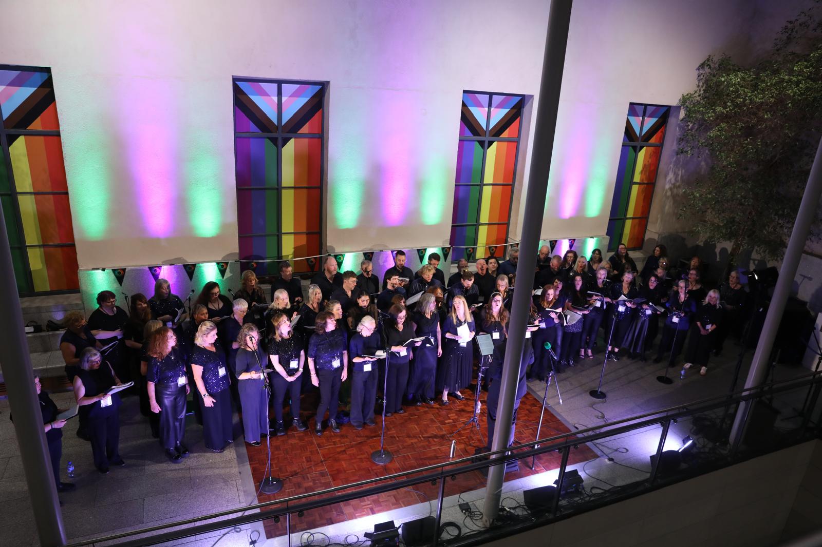The Dawson Chorus sing at Leinster House